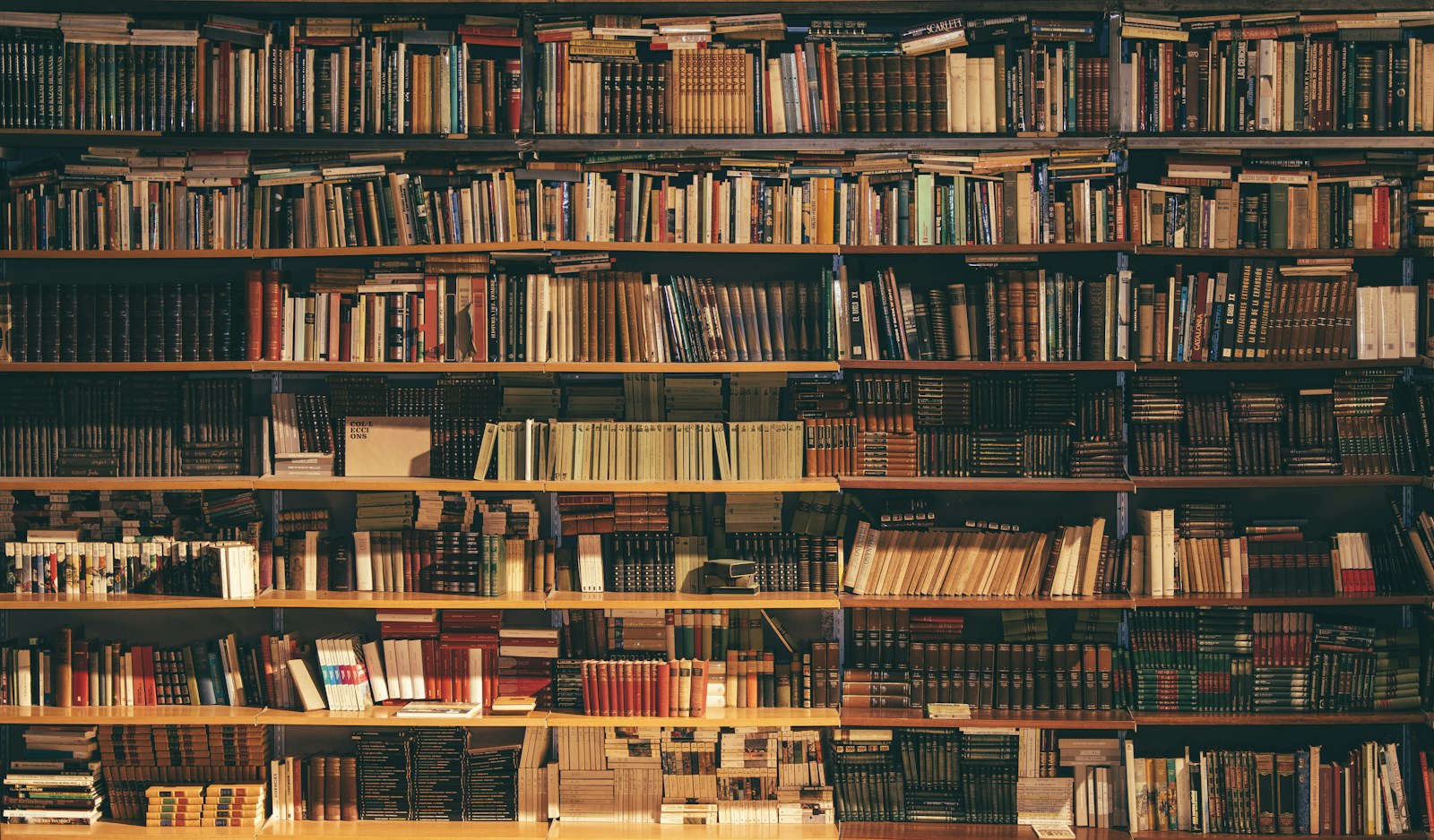 Books arranged on shelves in an indoor reading space
