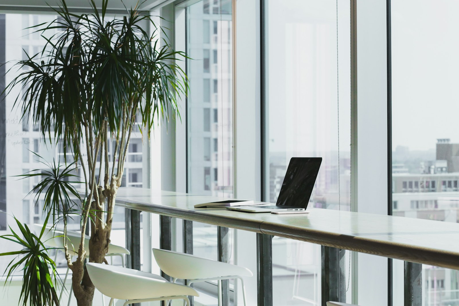 A bright office corner with plants near the work surface