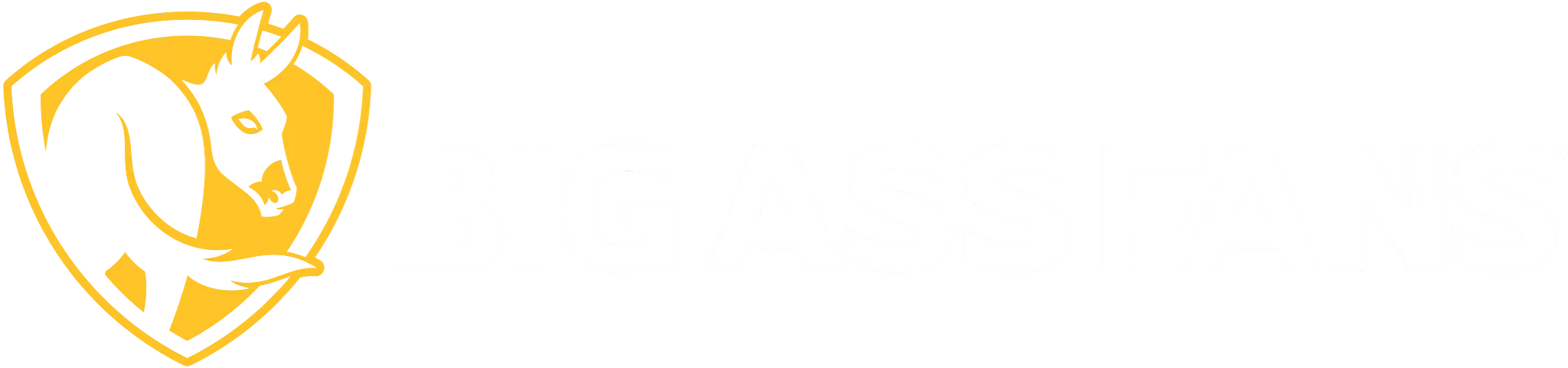 Big Ass Fans